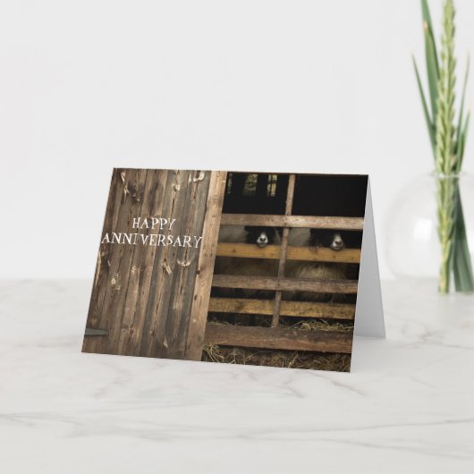 Sheep Happy Jubiläumskarte Karte (Vorderseite)