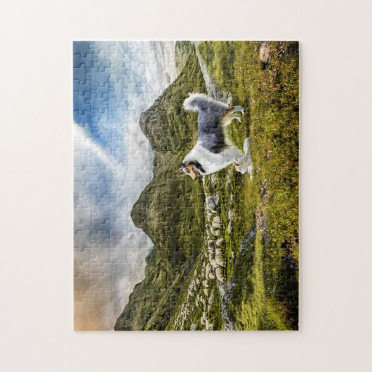 Sheep Herding Blue Merle Rough Collie - Puzzle (Vertikal)