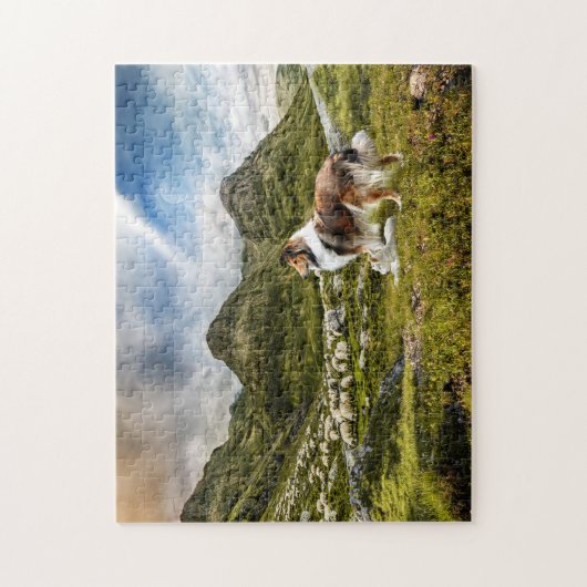 Sheep Herding Mahogany Sable Rough Collie - Puzzle (Vertikal)