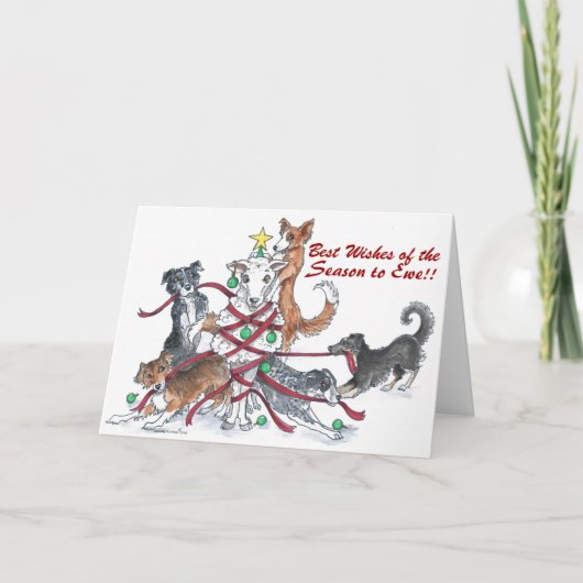 Sheep Hund Holiday Card Feiertagskarte (Vorderseite)