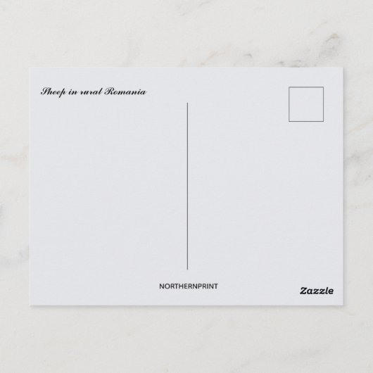 Sheep in Rural Romania Postkarte (Rückseite)