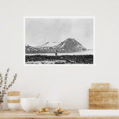 Sheep Kenai Halbinsel Alaska 1912 Poster (Küche)