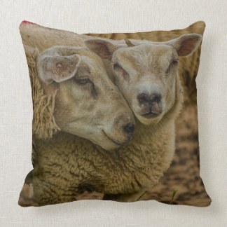 sheep kissen