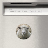 Sheep Magnet (In Situ (Geschirrspüler))