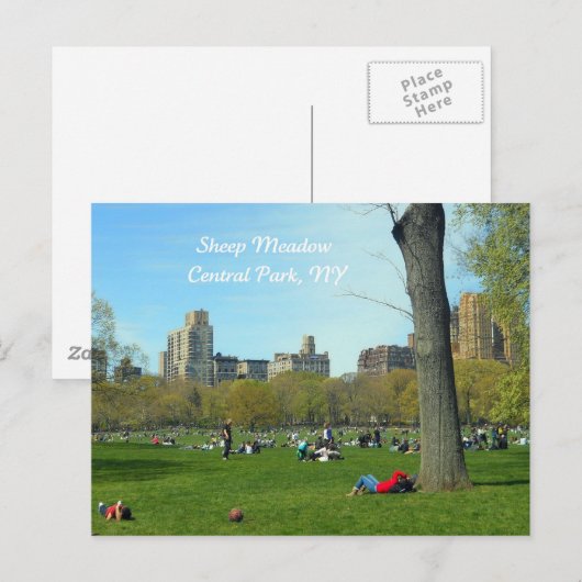 Sheep Meadow, Central Park Postkarte (Vorne/Hinten)