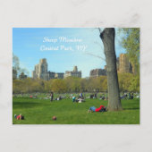 Sheep Meadow, Central Park Postkarte (Vorderseite)
