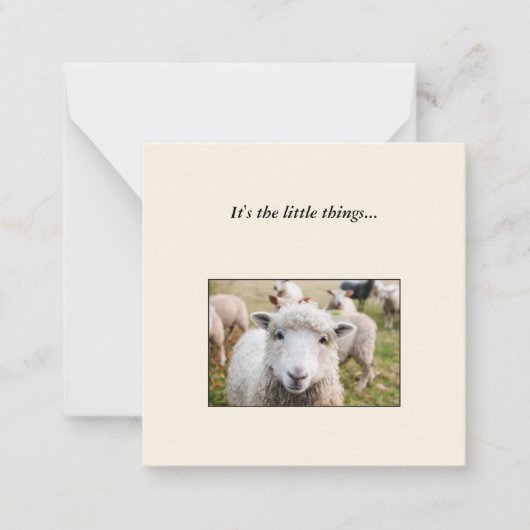 Sheep Mini Vielen Dank Note Card Mitteilungskarte (Vorderseite)