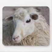 Sheep Mousepad (Vorne)