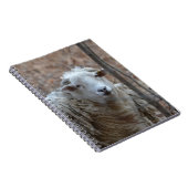 Sheep-Notebook Notizblock (Rechte Seite)