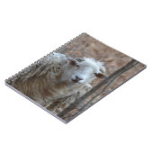 Sheep-Notebook Notizblock (Linke Seite)