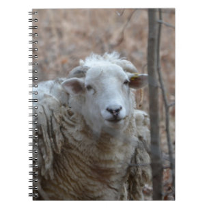 Sheep-Notebook Notizblock