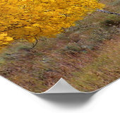 Sheep on Country Road Poster (Ecke)