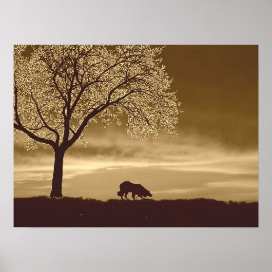 "Sheep on Horizon 3"~Border Collie Poster (Vorne)