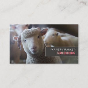 Sheep Portrait, Bauer & Butcher Visitenkarte