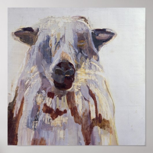 Sheep Poster (Vorne)