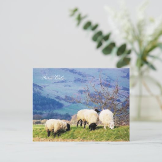SHEEP POSTKARTE (Stehend Vorderseite)