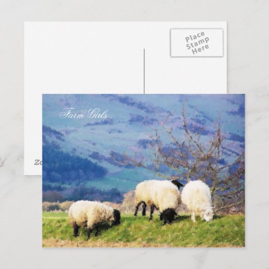 SHEEP POSTKARTE (Vorne/Hinten)