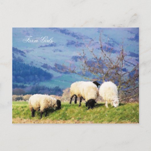 SHEEP POSTKARTE (Vorderseite)