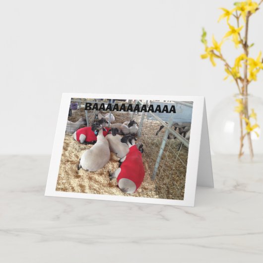 SHEEP SAGT ES IN IHREM "EIGENEN WEG" GLÜCKLICH GEB KARTE (Gelbe Blume)