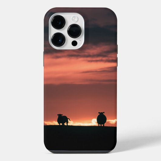 Sheep Sunset Nature Foto iPhone Hülle (Rückseite)