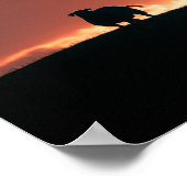 Sheep Sunset Nature Foto Poster (Ecke)