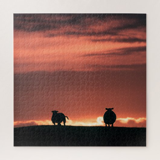 Sheep Sunset Nature Foto Puzzle (Vertikal)