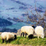 SHEEP VERSILBERTE KETTE<br><div class="desc">A beautiful digital oil painting of sheep,  some of the hard working farm girls. Wales UK.</div>