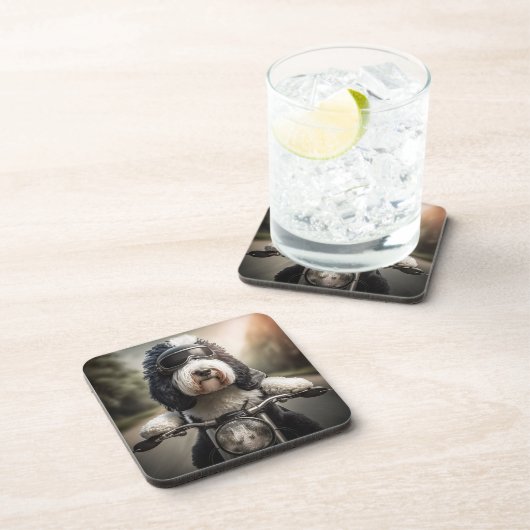 Sheepadoodle Biker Untersetzer (Rechte Seite)