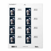 Sheepadoodle mit blauem karierten Schal (Vorne)