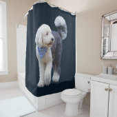 Sheepadoodle mit blauem karierten Schal Duschvorhang (Beispiel)