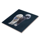 Sheepadoodle mit blauem karierten Schal Fliese (Seite)