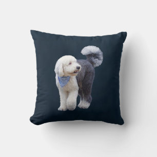 Sheepadoodle mit blauem karierten Schal Kissen