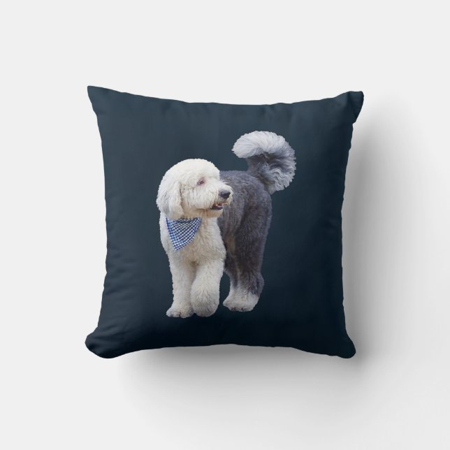 Sheepadoodle mit blauem karierten Schal Kissen (Vorderseite)