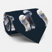 Sheepadoodle mit blauem karierten Schal Krawatte (Gerollt)