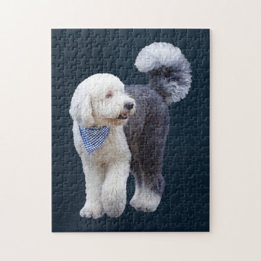 Sheepadoodle mit blauem karierten Schal Puzzle (Vertikal)