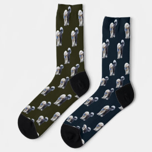 Sheepadoodle mit blauem karierten Schal Socken