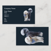 Sheepadoodle mit blauem karierten Schal Visitenkarte (Vorne/Hinten)