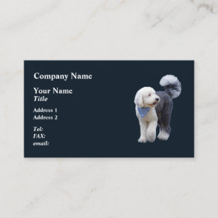 Sheepadoodle mit blauem karierten Schal Visitenkarte