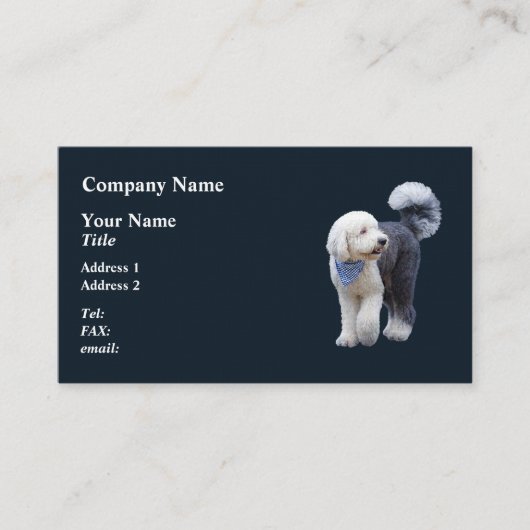 Sheepadoodle mit blauem karierten Schal Visitenkarte (Vorderseite)