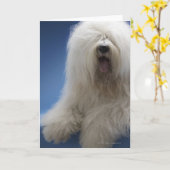 Sheepdog Karte (Gelbe Blume)