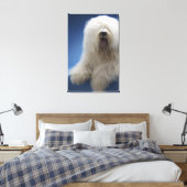 Sheepdog Leinwanddruck (Insitu (Schlafzimmer))
