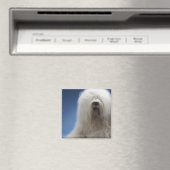 Sheepdog Magnet (In Situ (Geschirrspüler))