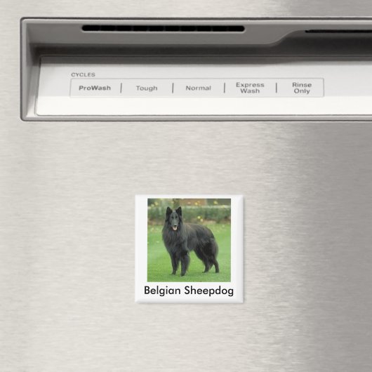 Sheepdog Magnet (In Situ (Geschirrspüler))