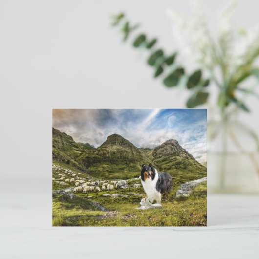 Sheepherding Tricolor Rough Collie - Collectibel Postkarte (Stehend Vorderseite)
