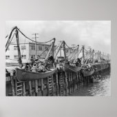 Sheepshead Poster (Vorne)