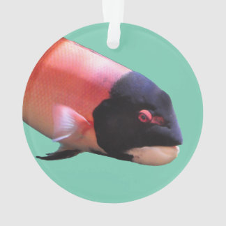 Sheepshead-Weihnachtsverzierung Ornament