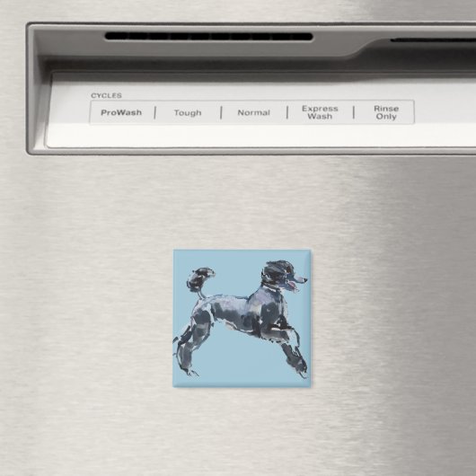 Sheer Class 2013 Magnet (In Situ (Geschirrspüler))