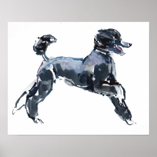 Sheer Class 2013 Poster (Vorne)