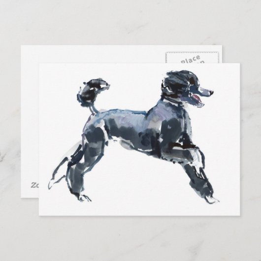 Sheer Class 2013 Postkarte (Vorne/Hinten)