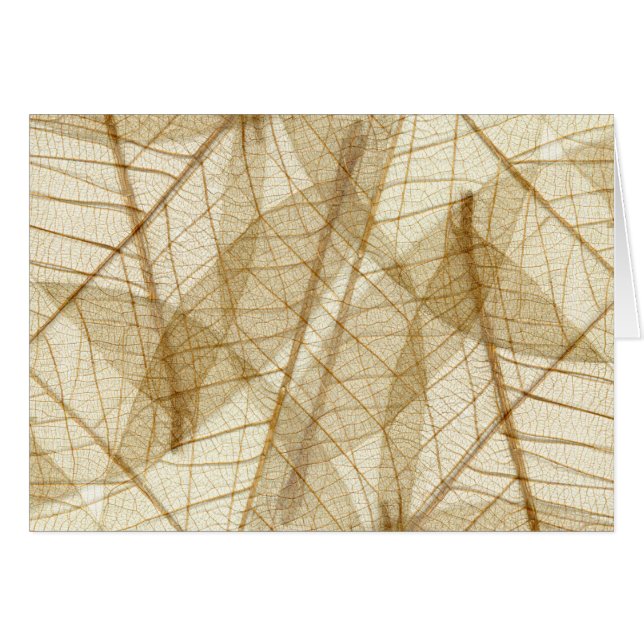 Sheer Cream Beige Lace Blätter (Vorderseite (Horizontal))